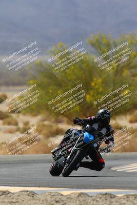 media/Apr-10-2022-SoCal Trackdays (Sun) [[f104b12566]]/Turn 5 Tree of Life (1040am)/